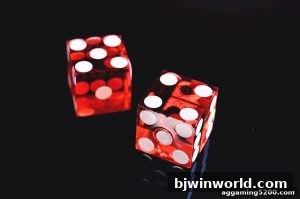 AG真人 bjwinworld